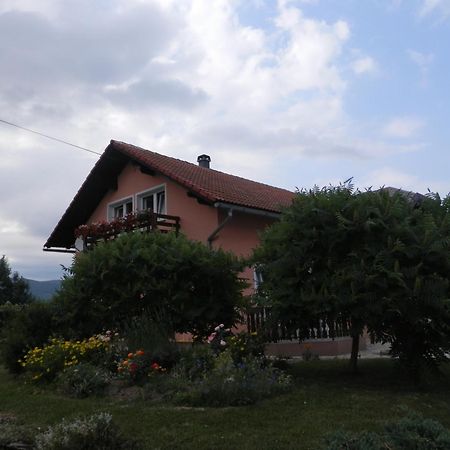 Guesthouse Blazenka Hodak Seliste Dreznicko Luaran gambar