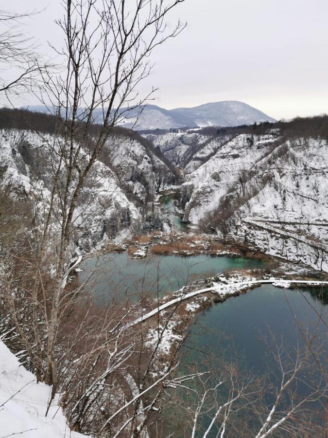 Guesthouse Blazenka Hodak Seliste Dreznicko Luaran gambar