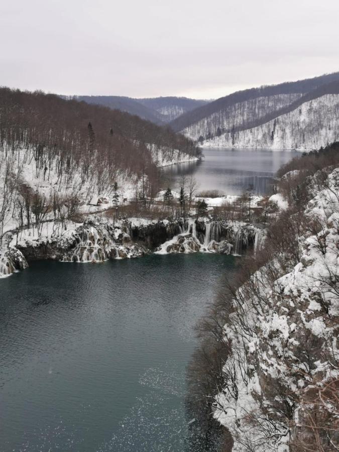 Guesthouse Blazenka Hodak Seliste Dreznicko Luaran gambar