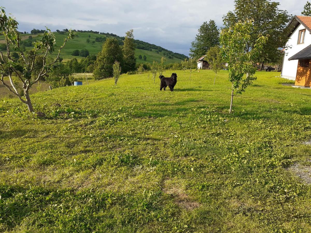 Guesthouse Blazenka Hodak Seliste Dreznicko Luaran gambar