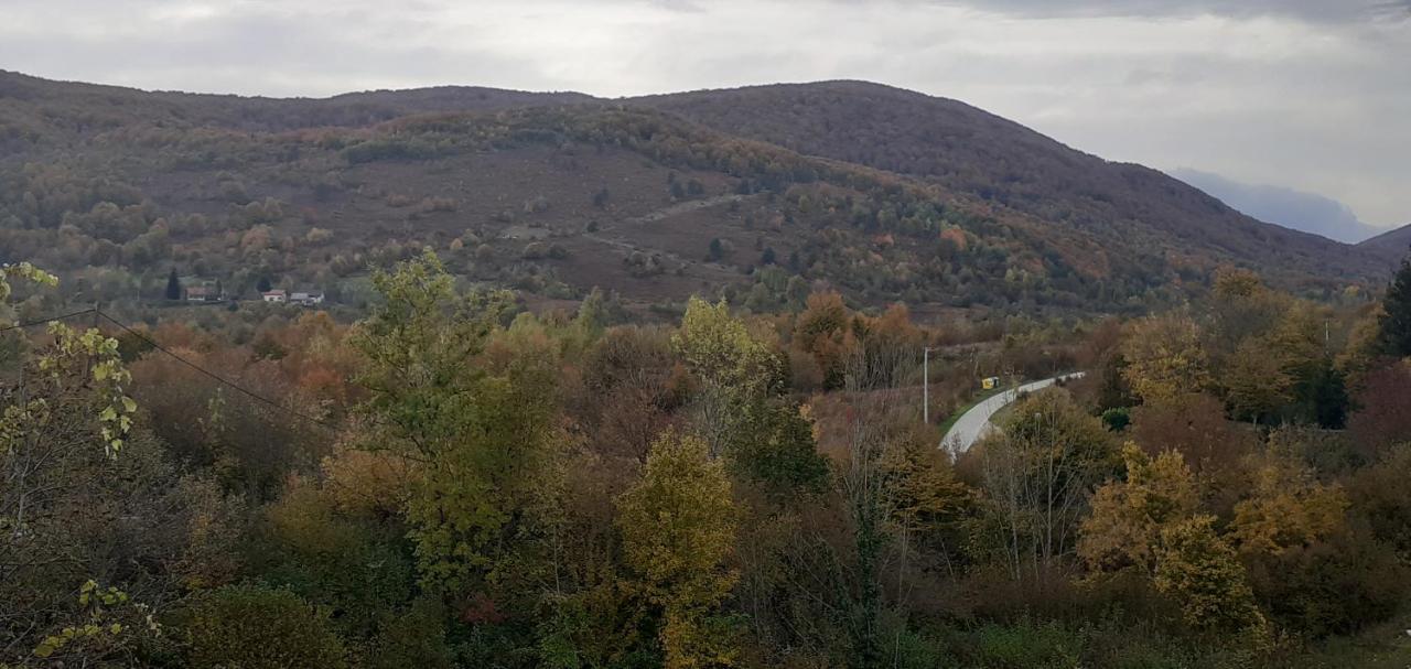 Guesthouse Blazenka Hodak Seliste Dreznicko Luaran gambar