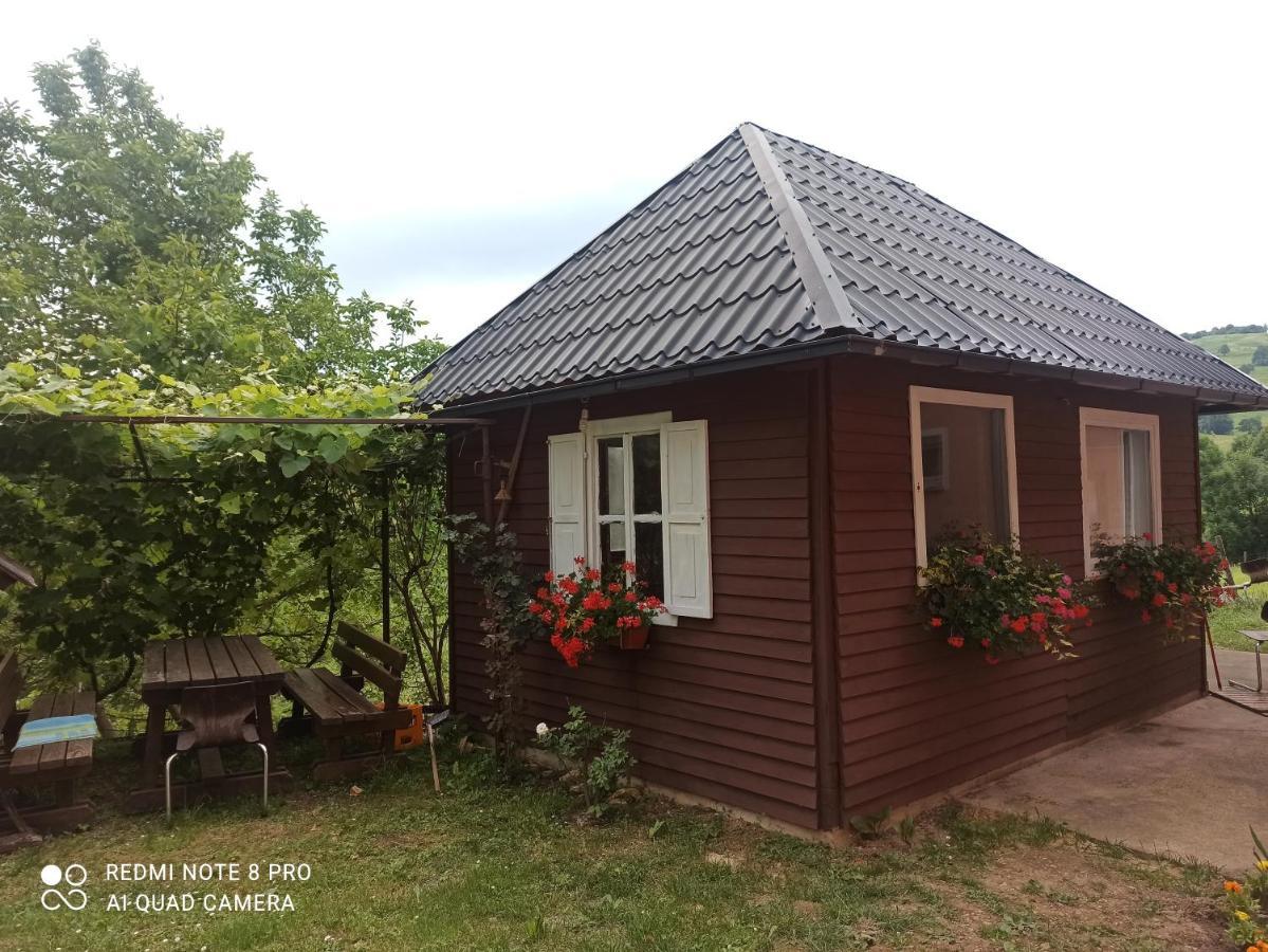 Guesthouse Blazenka Hodak Seliste Dreznicko Luaran gambar