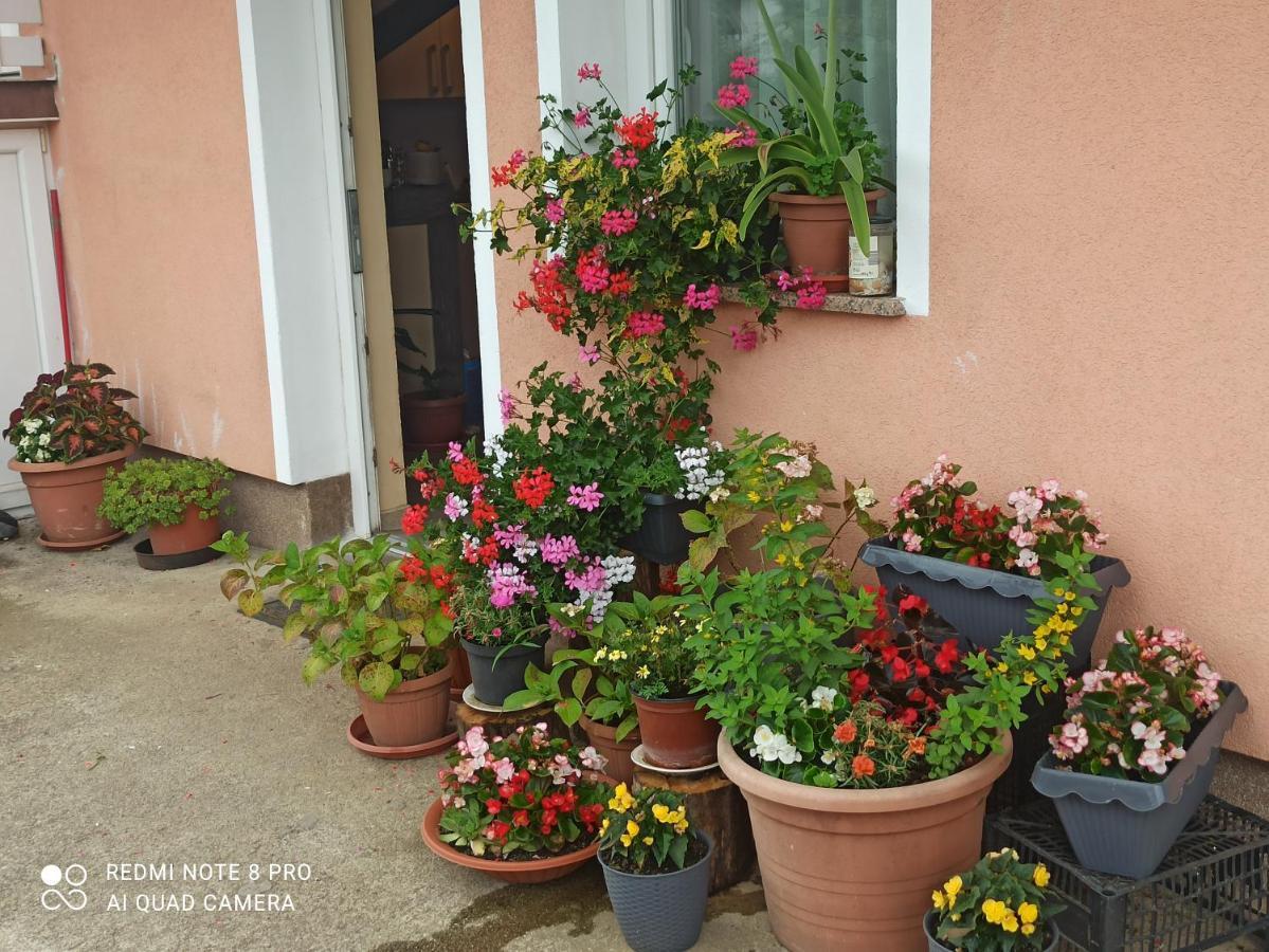 Guesthouse Blazenka Hodak Seliste Dreznicko Luaran gambar