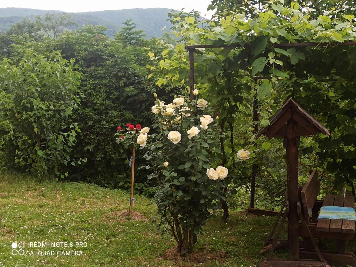 Guesthouse Blazenka Hodak Seliste Dreznicko Luaran gambar