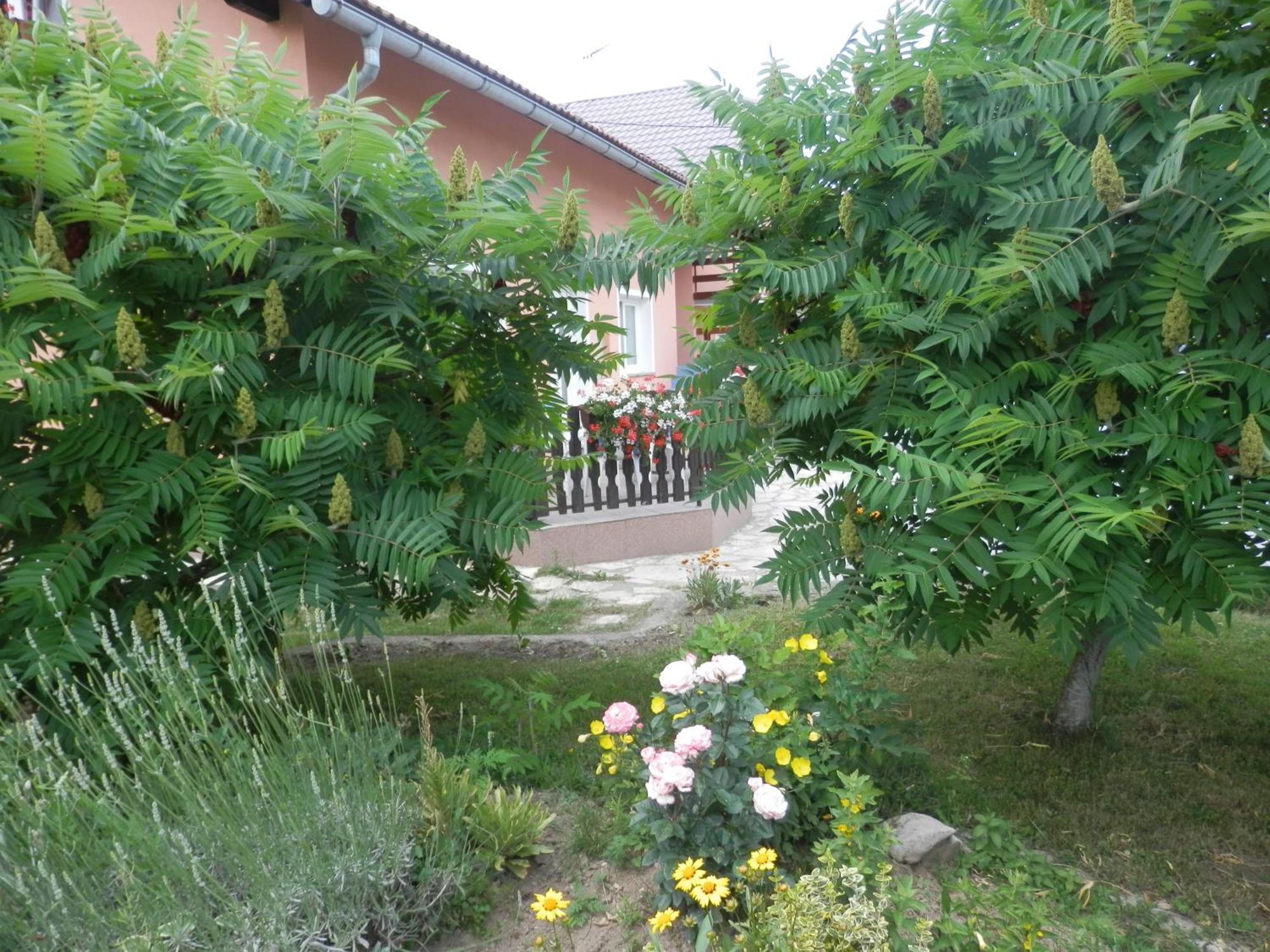 Guesthouse Blazenka Hodak Seliste Dreznicko Luaran gambar