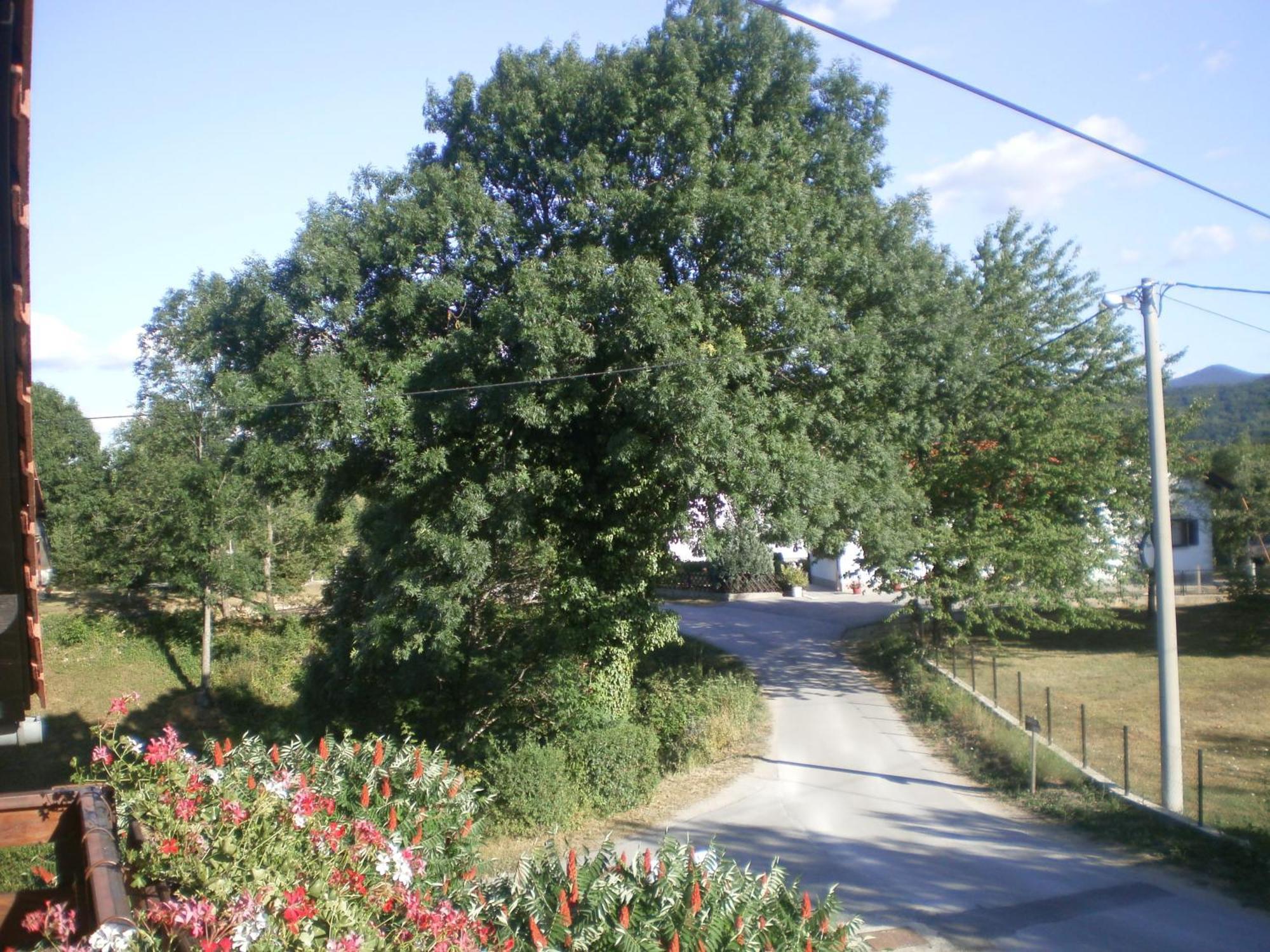 Guesthouse Blazenka Hodak Seliste Dreznicko Luaran gambar