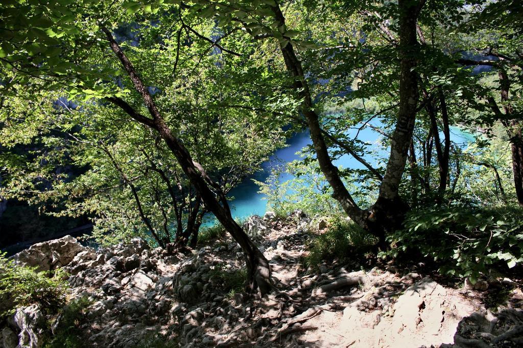 Guesthouse Blazenka Hodak Seliste Dreznicko Luaran gambar