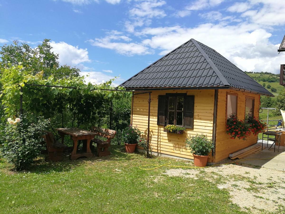 Guesthouse Blazenka Hodak Seliste Dreznicko Luaran gambar