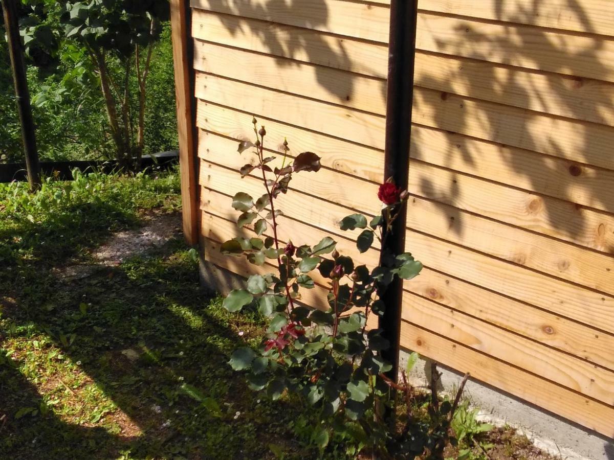 Guesthouse Blazenka Hodak Seliste Dreznicko Luaran gambar