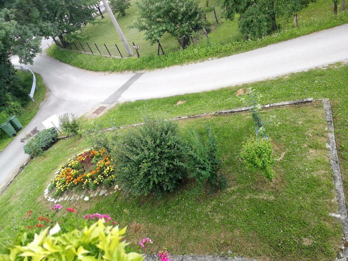 Guesthouse Blazenka Hodak Seliste Dreznicko Luaran gambar