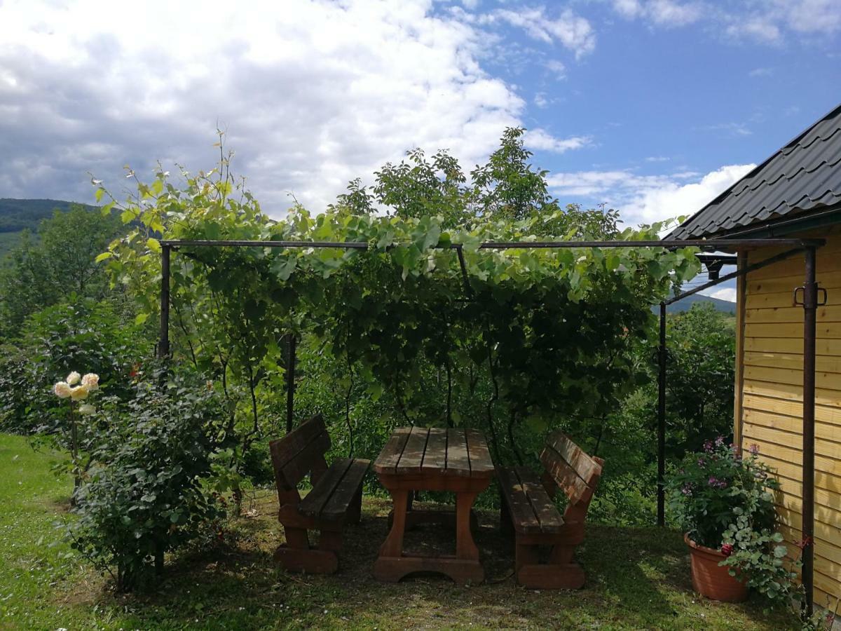 Guesthouse Blazenka Hodak Seliste Dreznicko Luaran gambar