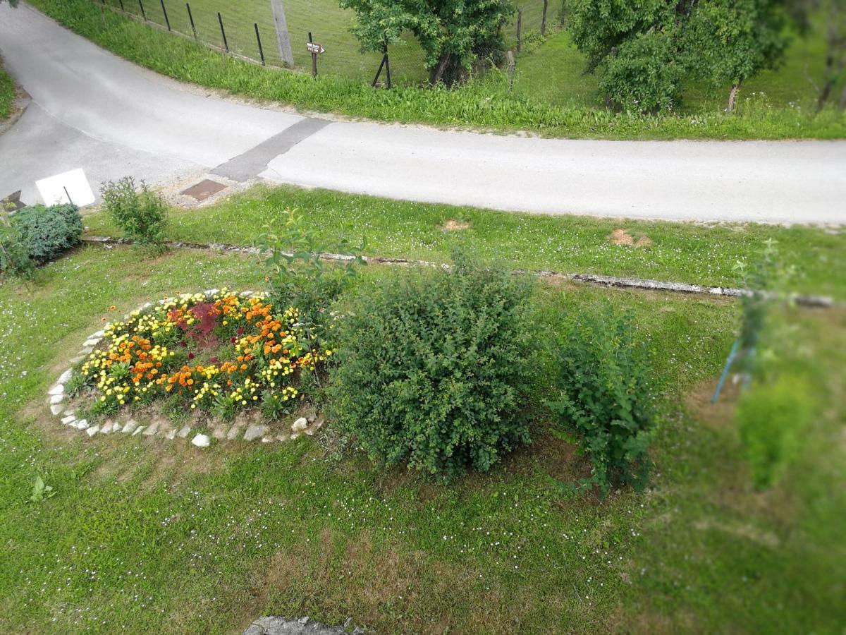 Guesthouse Blazenka Hodak Seliste Dreznicko Luaran gambar
