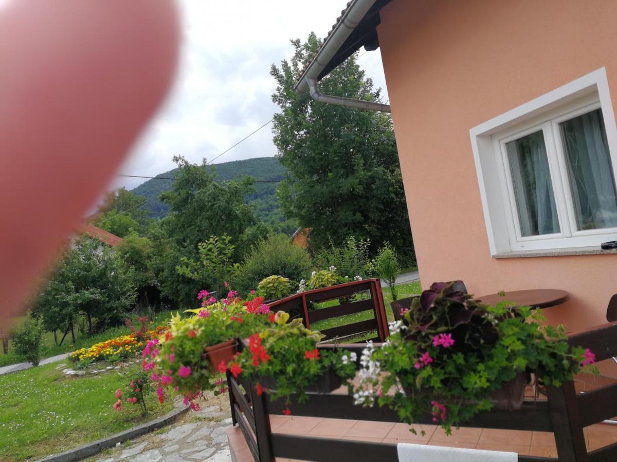 Guesthouse Blazenka Hodak Seliste Dreznicko Luaran gambar